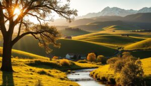 ניהול הון דינמי